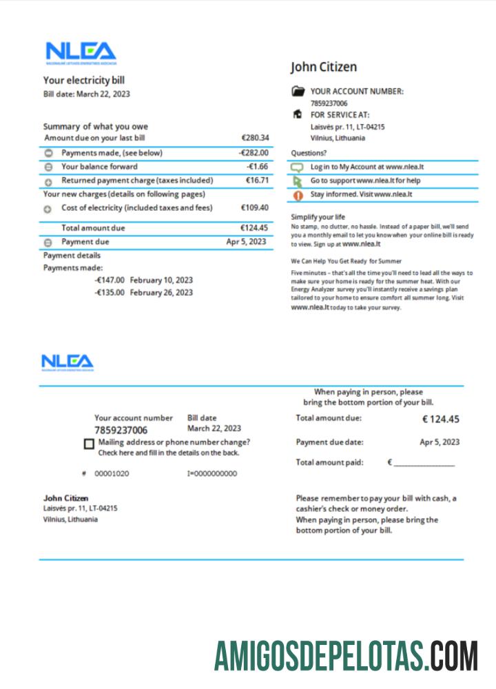 realista Modelo Word e PDF de projeto de lei de serviços públicos da Associação Nacional de Energia da Lituânia